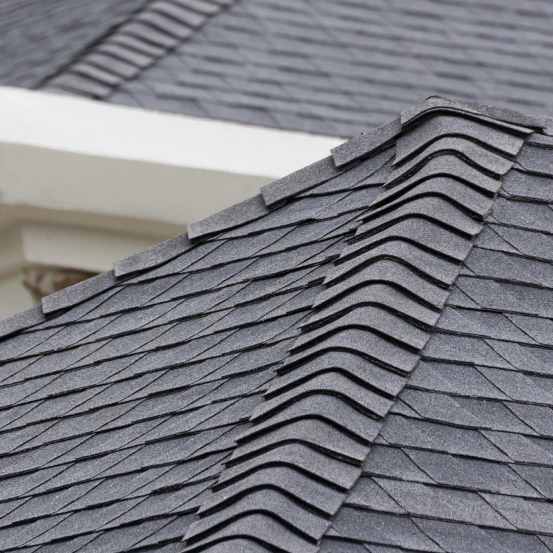 Asphalt Shingle Roofing 2