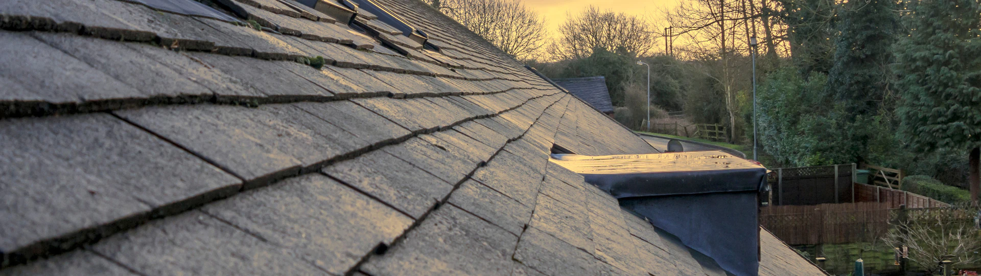 Asphalt Shingle Roofing breadcrumb